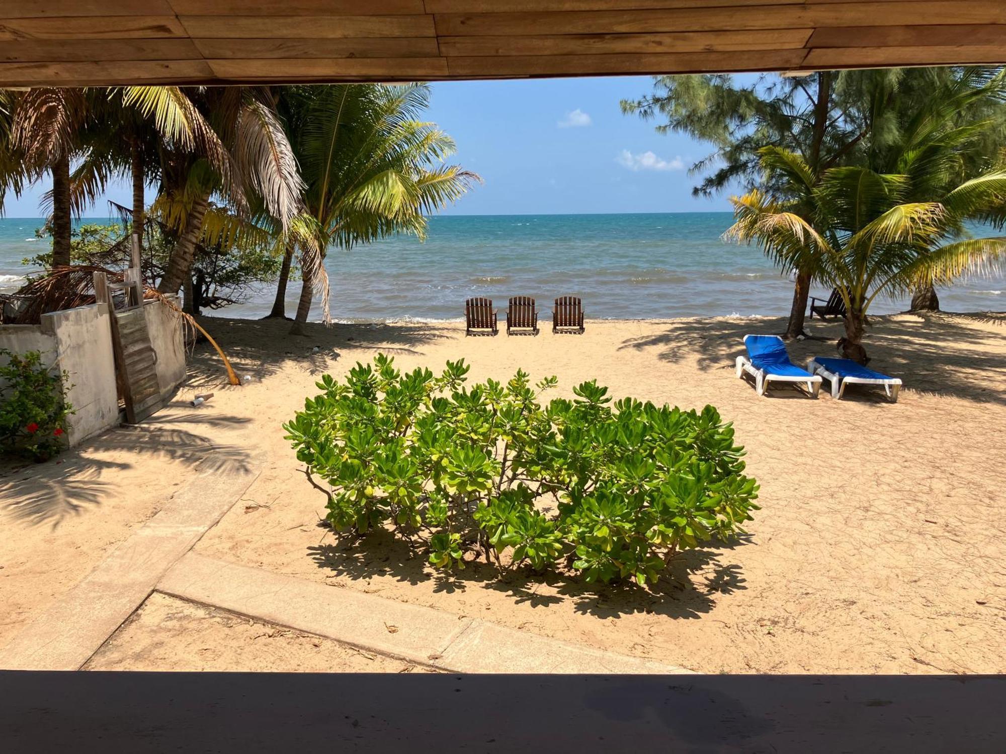Lost Reef Resort Riversdale Εξωτερικό φωτογραφία